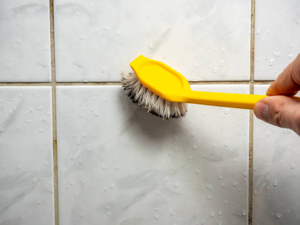 Best Attic Mold Removal  in Irwin, SC