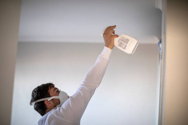 Office Mold Removal Services in Irwin, SC