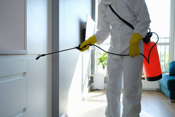 Mold Testing and Removal in Irwin, SC