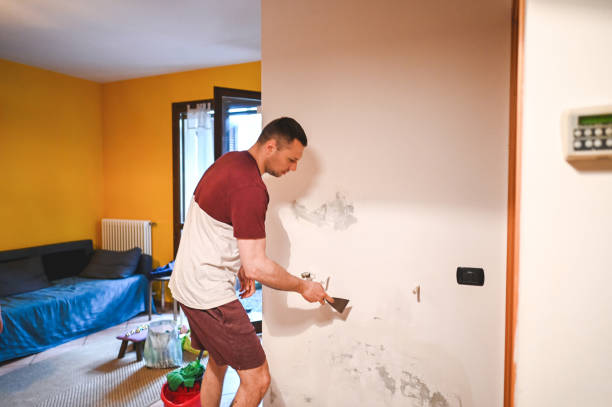 Professional Mold Removal in Irwin, SC